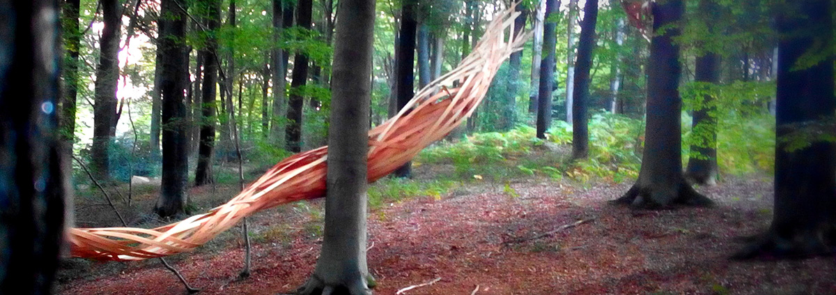 De la chenille au papillon...