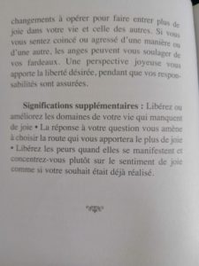 Carte 2 : Joie (fin)