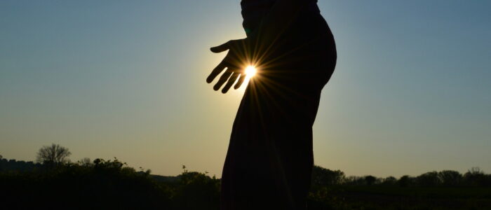 01 dsc 0224 01 dsc 0224