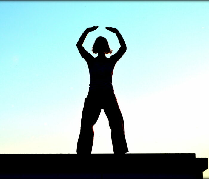 03 dsc 0256 03 dsc 0256