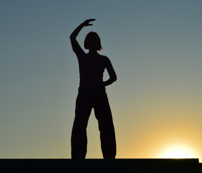 10 dsc 0317 10 dsc 0317