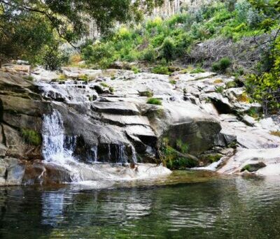 img 20220412 wa0040 400x516 img 20220412 wa0040 400x516