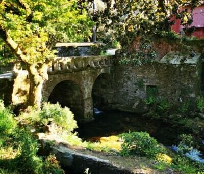 img 20220412 wa0041 400x516 img 20220412 wa0041 400x516