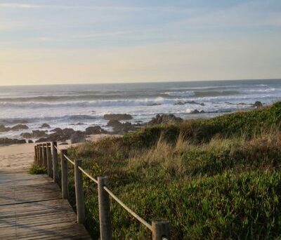 img 20240126 164930 400x516 img 20240126 164930 400x516