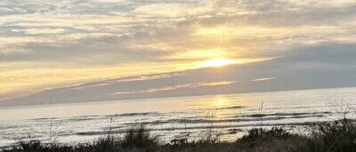 img 20241013 183654 400x516 img 20241013 183654 400x516