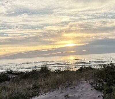 img 20241013 183654 400x516 img 20241013 183654 400x516